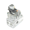 IPI Valve With Stepper Motor 2166-302 (Natural Gas)