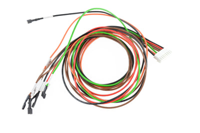 Dexen Wiring Harness