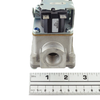 Heat n Glo DSI Gas Valve 462-501 Propane