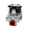 W725-0052 DSI Gas Valve Natural Gas