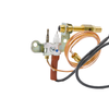 ODS-0001 ODS Pilot Assembly, Vent Free, Natural Gas