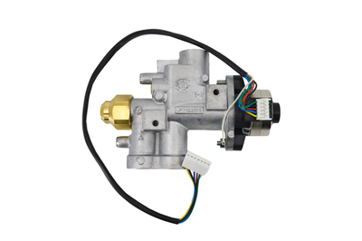 Ecoflow Valve Assembly Propane